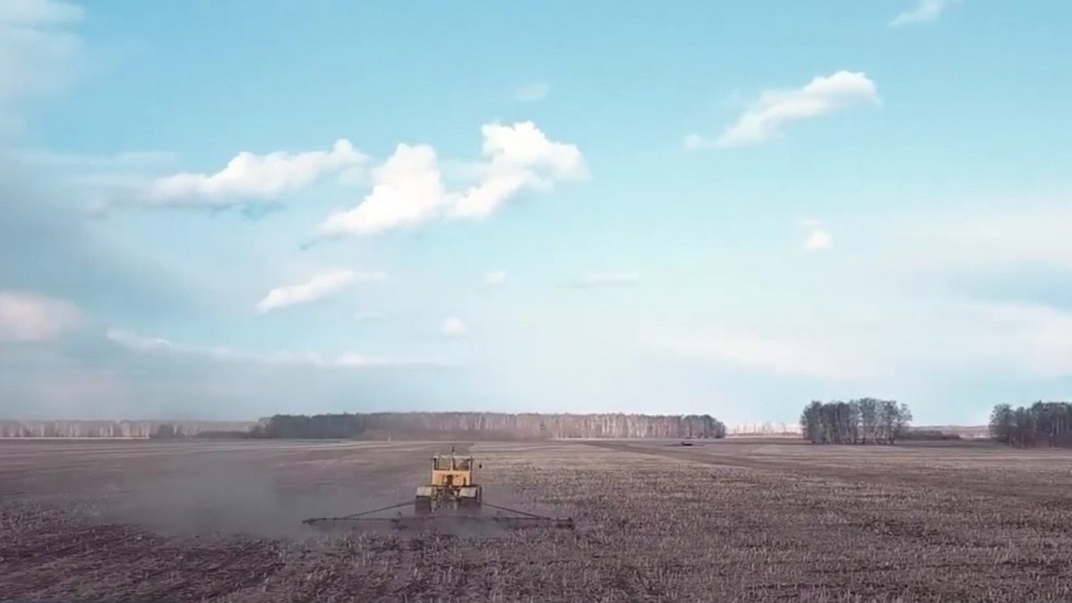 Не по плану: в этом году аграрии собрали с полей на 6 миллионов тонн меньше пшеницы