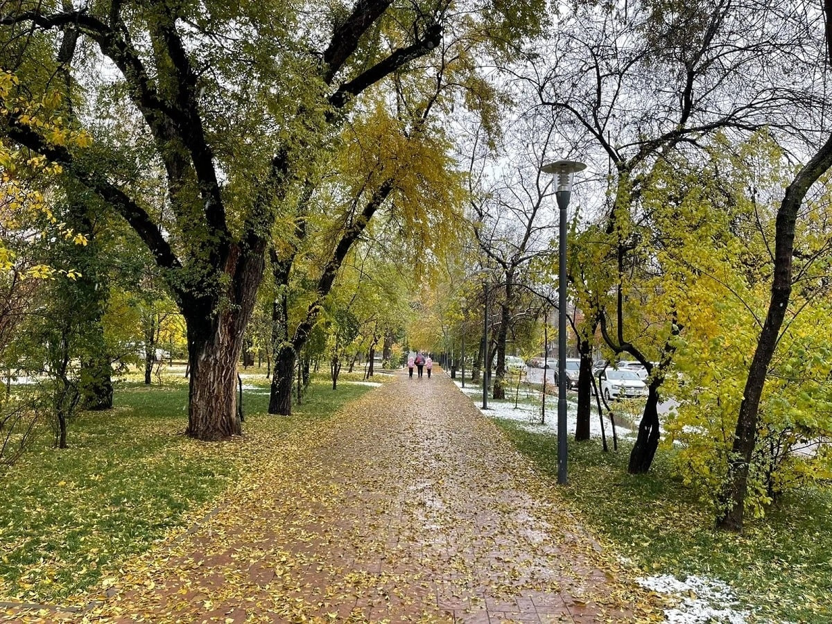 Погода в Алматы с 13 по 19 ноября 2023