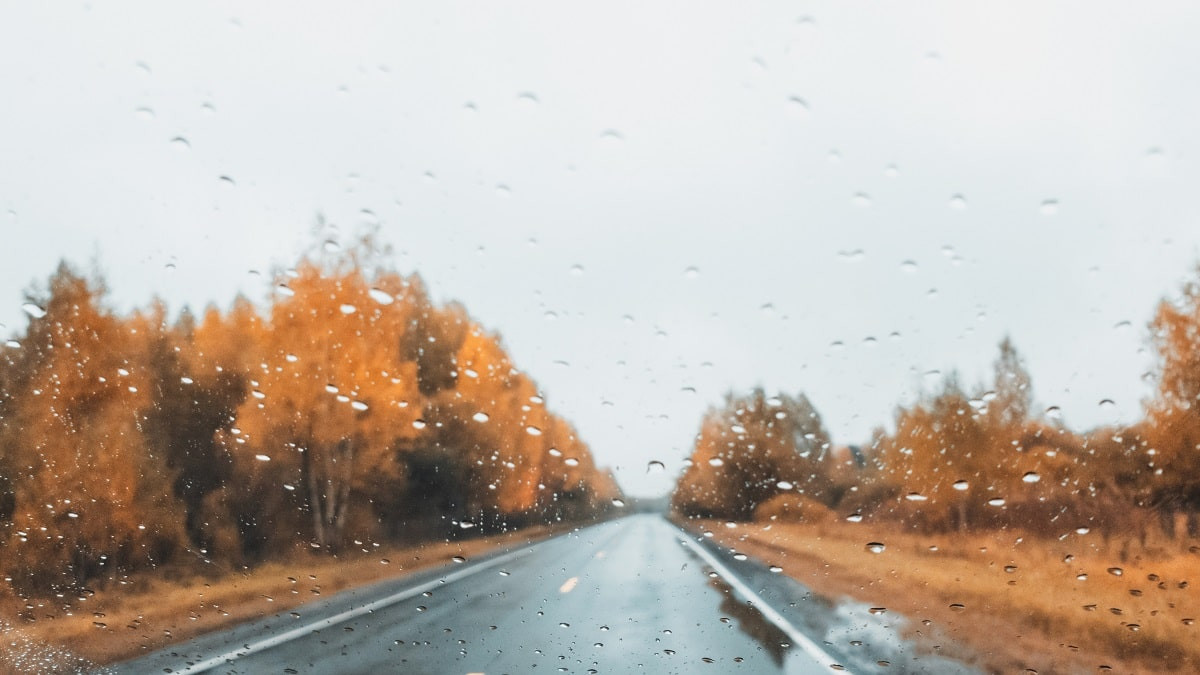 Ветер, гололед, дождь, метель, снег и туман: прогноз погоды на 18 ноября