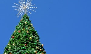  Не дождалась праздника: главная рождественская елка упала в Вашингтоне