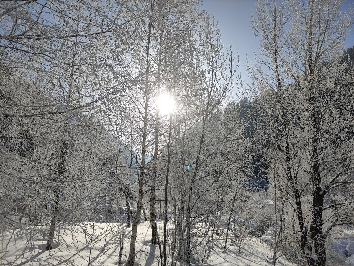 До -42°С: в Казахстане ожидается резкое похолодание