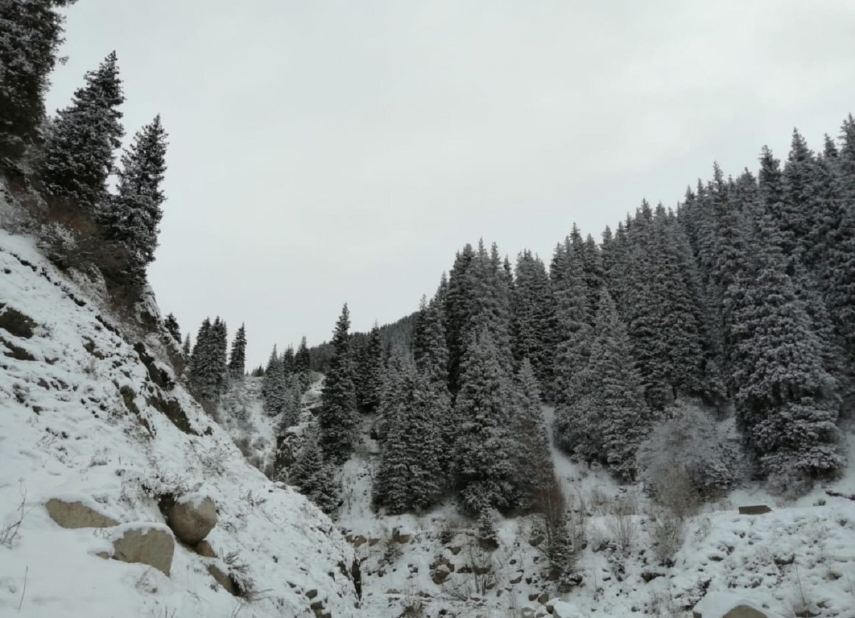 Снегопад и мороз: спасатели призывают туристов отказаться от походов в горы