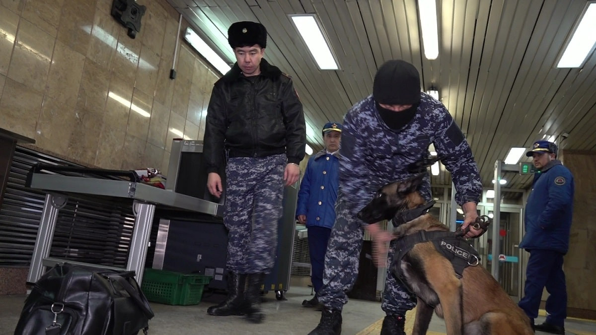 Биыл Алматы полициясы 1 тоннадан астам есірткі затын тәркіледі