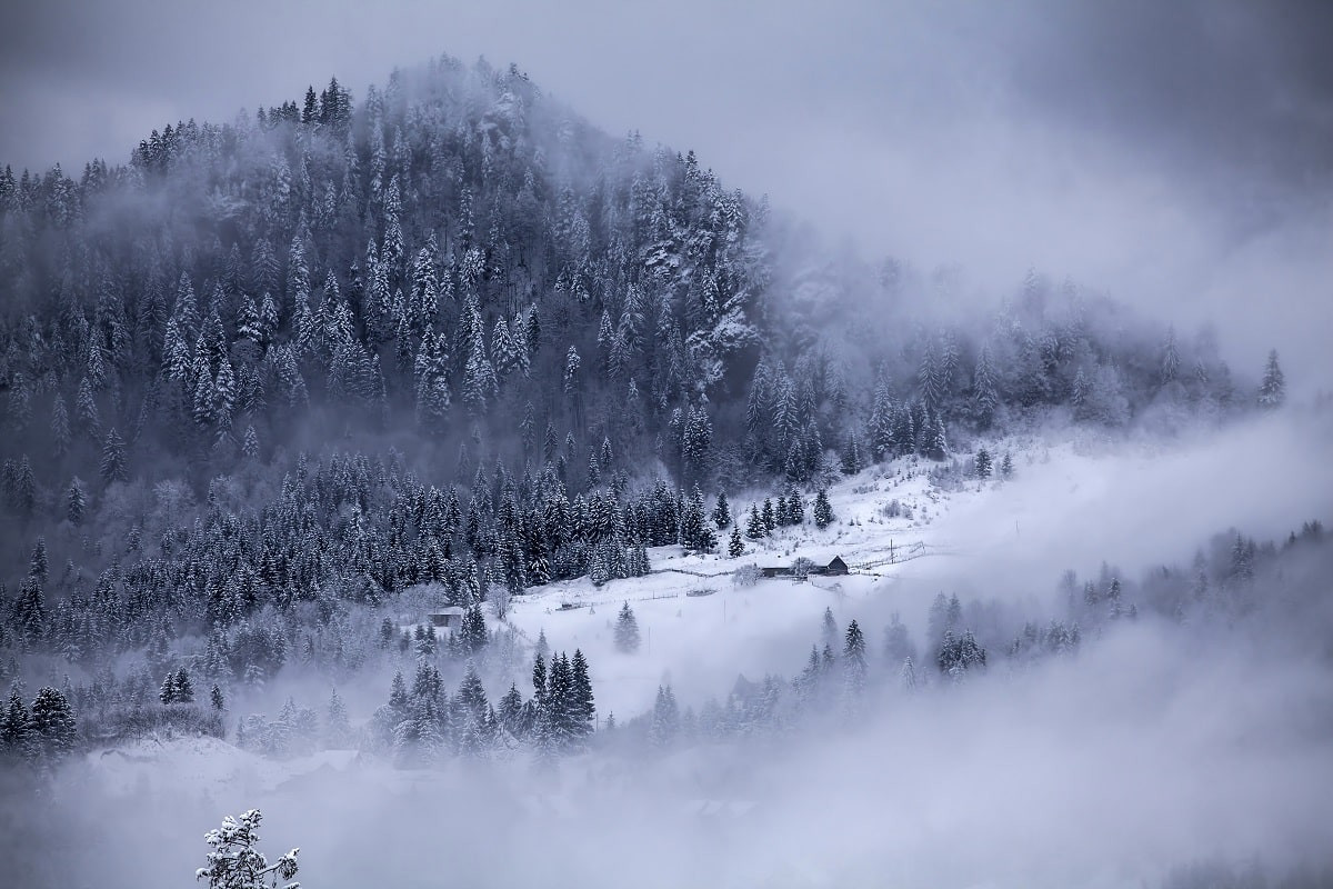 Туман, метель и снег: прогноз погоды на 6 января