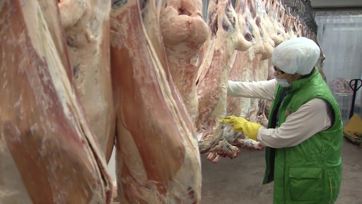 Борьба с перекупщиками: почему в Казахстане мясо дорогое