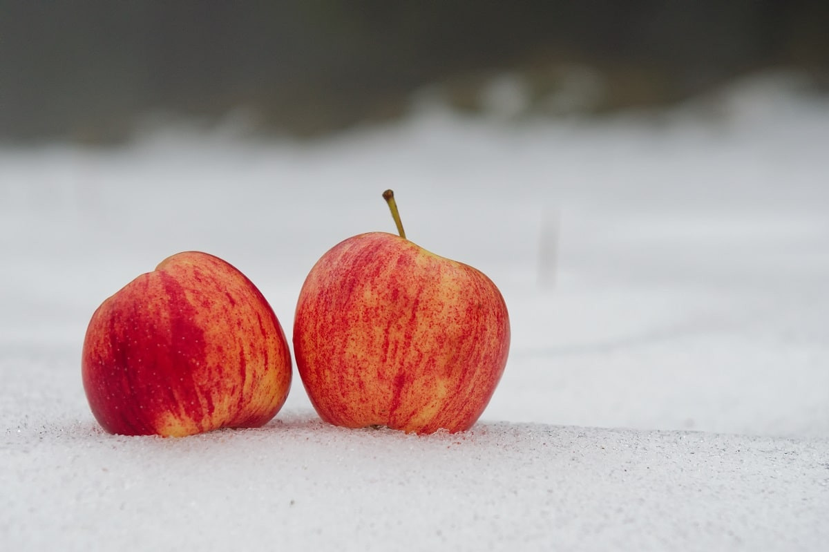 Заглядываем в будущее: гадание на снегу и яблоках