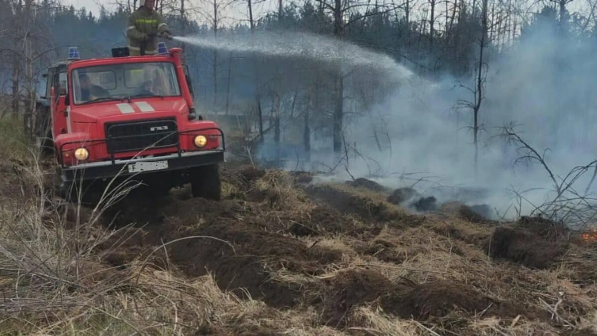 Лесные пожары: в Минэкологии внедрят систему раннего обнаружения возгораний
