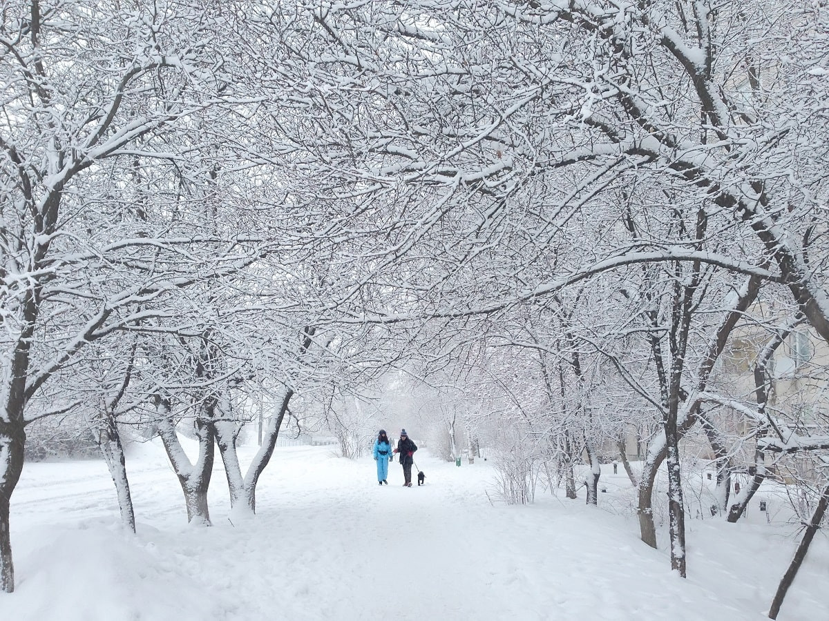 Сильные морозы, снег и метель: прогноз погоды на 16 февраля