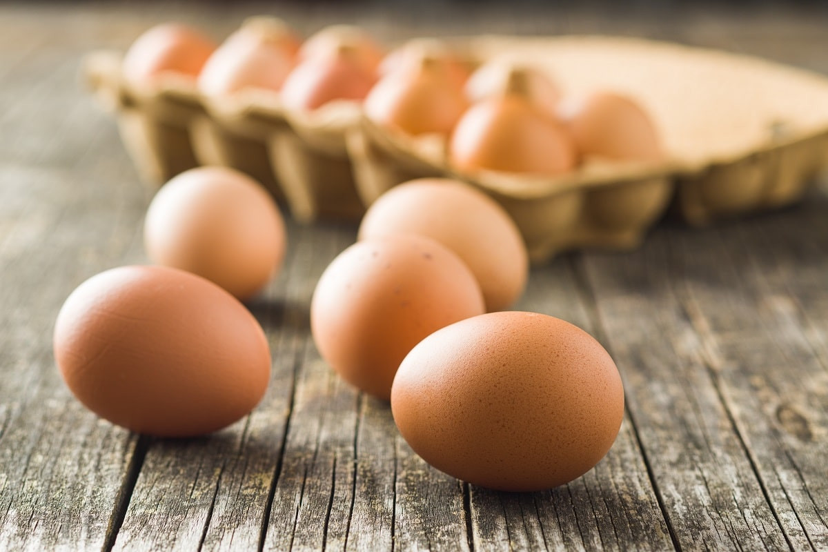 Своих достаточно: весной Казахстан введет запрет на ввоз куриных яиц из-за рубежа