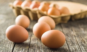 Своих достаточно: весной Казахстан введет запрет на ввоз куриных яиц из-за рубежа