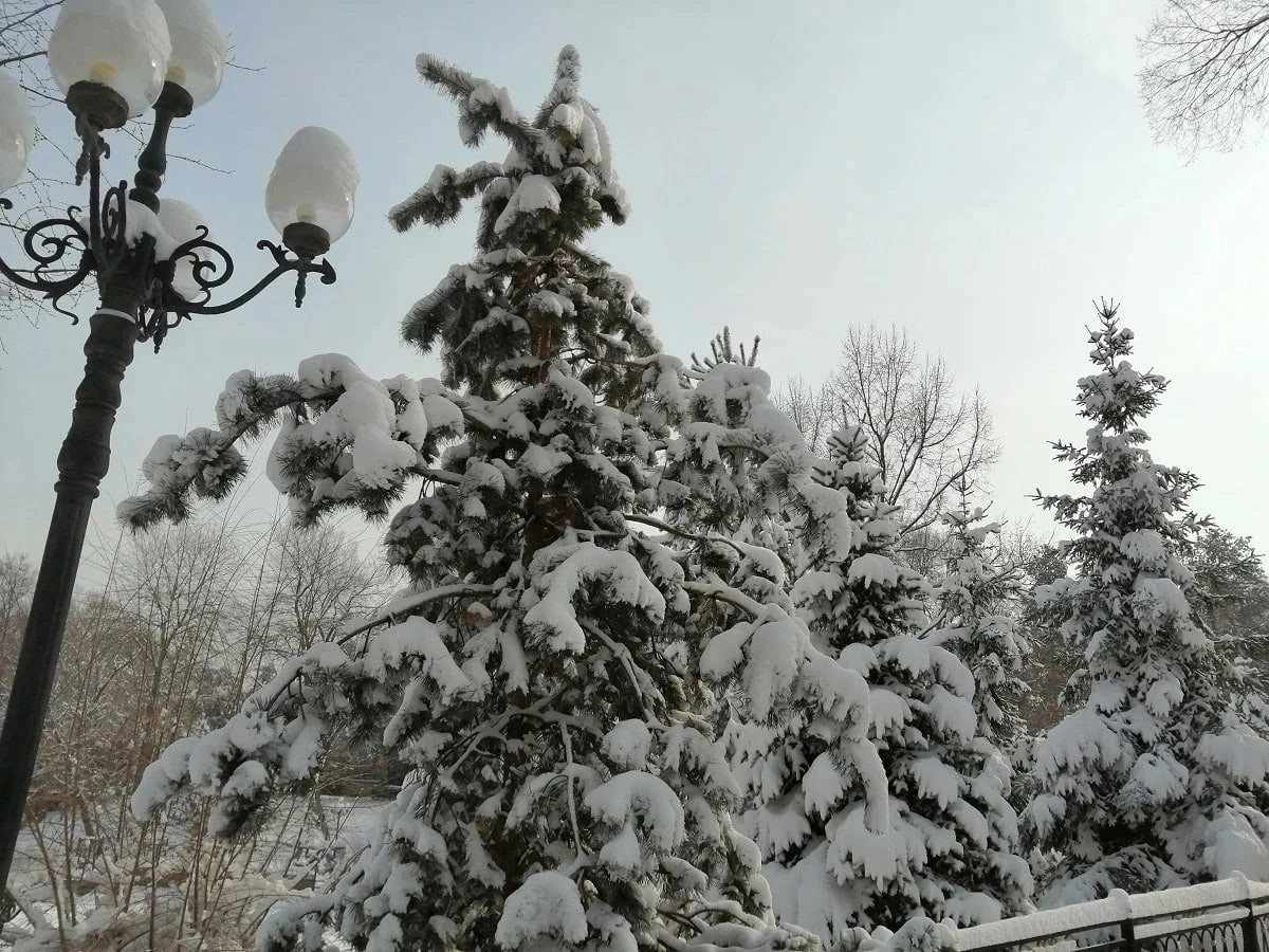 Погода в Алматы с 26 февраля по 3 марта 2024