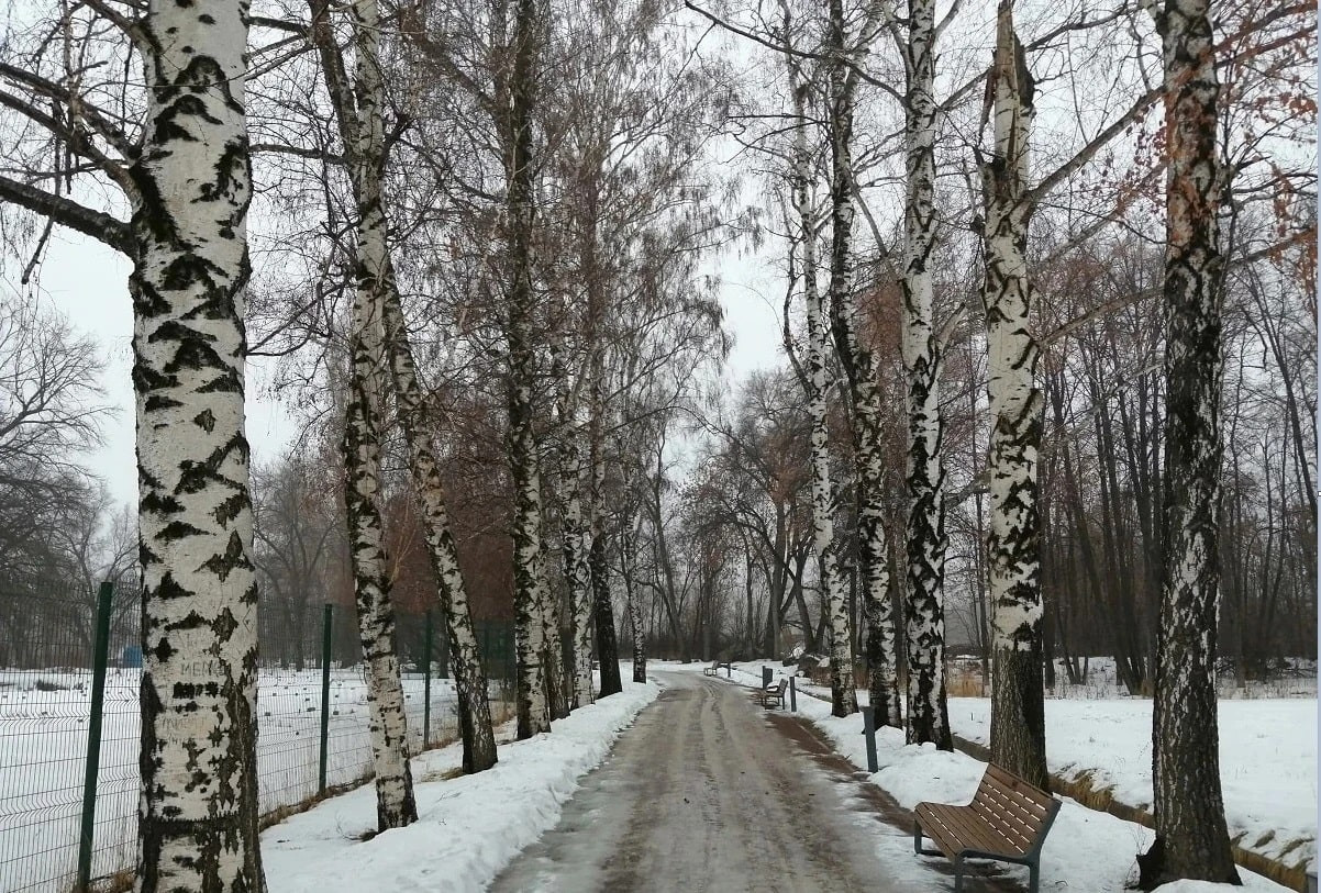Погода в Алматы с 4 по 10 марта 2024
