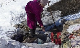 Ауру болатын болдық: Жетісу облысының тұрғындары мал жүрген жерден су алуға мәжбүр