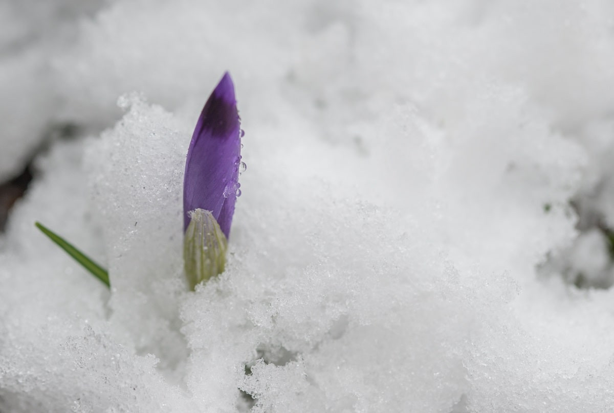 Морозы не отступают: прогноз погоды на 4 марта