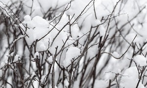 Морозы, туман и снег: прогноз погоды на 2 марта