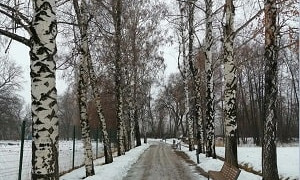 Погода в Алматы с 4 по 10 марта 2024