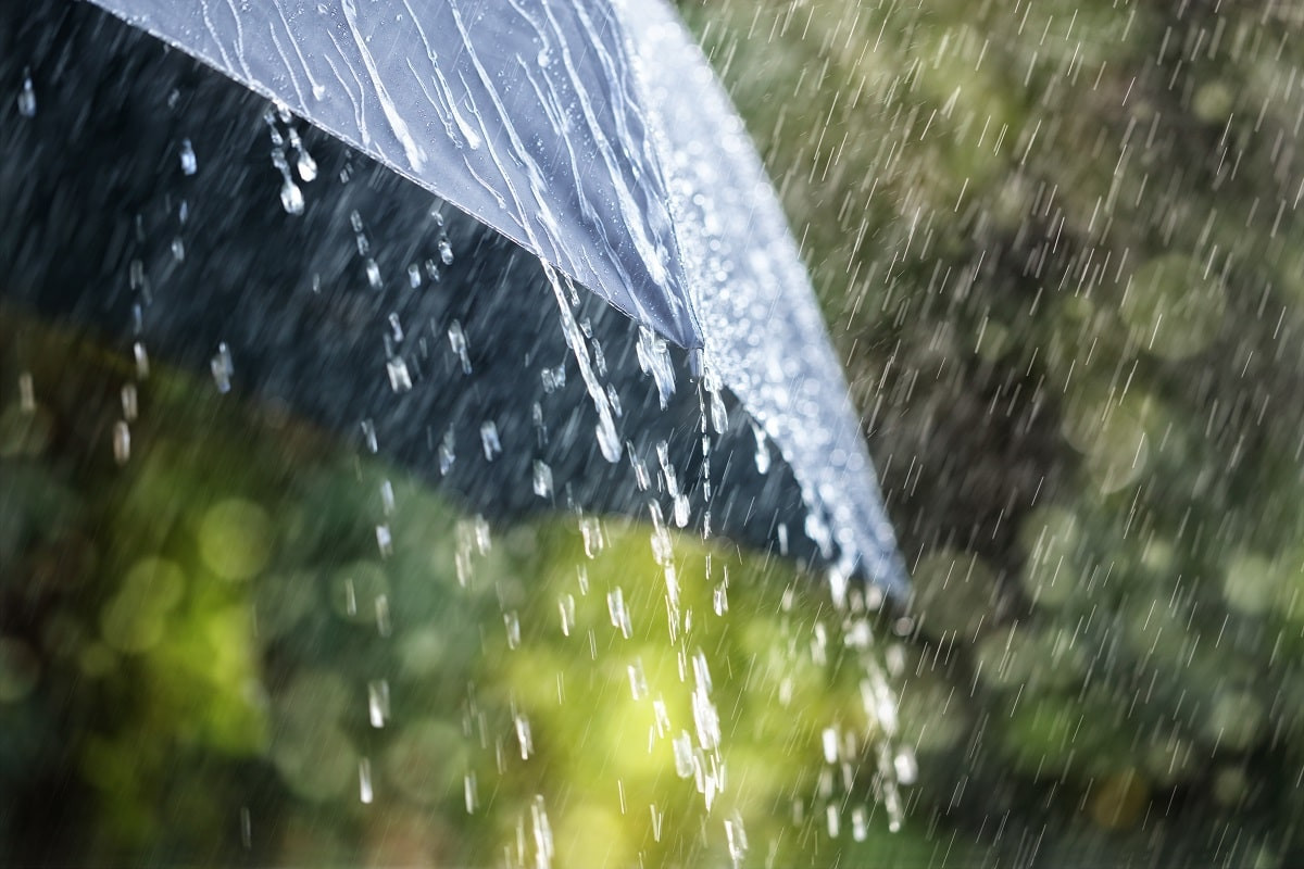 Дождь, гроза и ветер: прогноз погоды на 23 марта