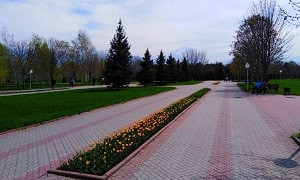 Алматы қаласы бойынша 15-21 сәуір аралығындағы ауа райы болжамы