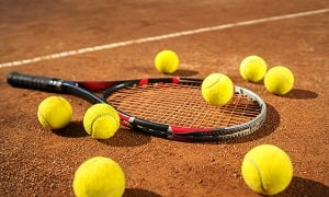 Даңқты теннисшімізге толағай табыс тілеймін - ҚР Президенті