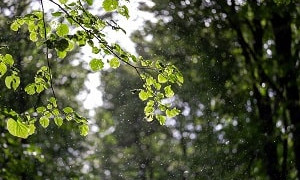 Дождь и пыльная буря: прогноз погоды на 24 апреля