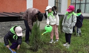 Школьники посадили сотни саженцев туй в Алматы