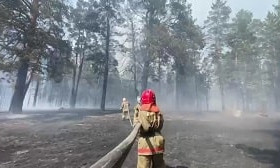 Горел сухостой: в природном резервате «Семей орманы» снова произошел пожар