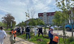 В Алматы знаменитости посадили деревья в рамках республиканской акции «Таза Казахстан»