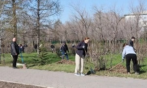 Таза Қазақстан: в СКО высадили около 20 тысяч деревьев
