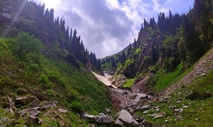 Погода в Казахстане в мае 2024: дождь со снегом и аномальная жара