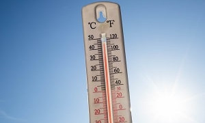 Аномальное лето - 2024: какие регионы в мире пострадают от адской жары