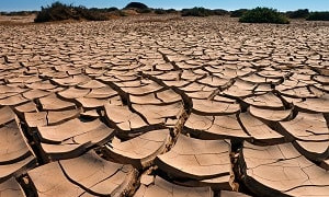 Засуха в июне 2024: какие регионы в Казахстане она затронет 