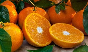 Апельсин шырыны неге қымбат 