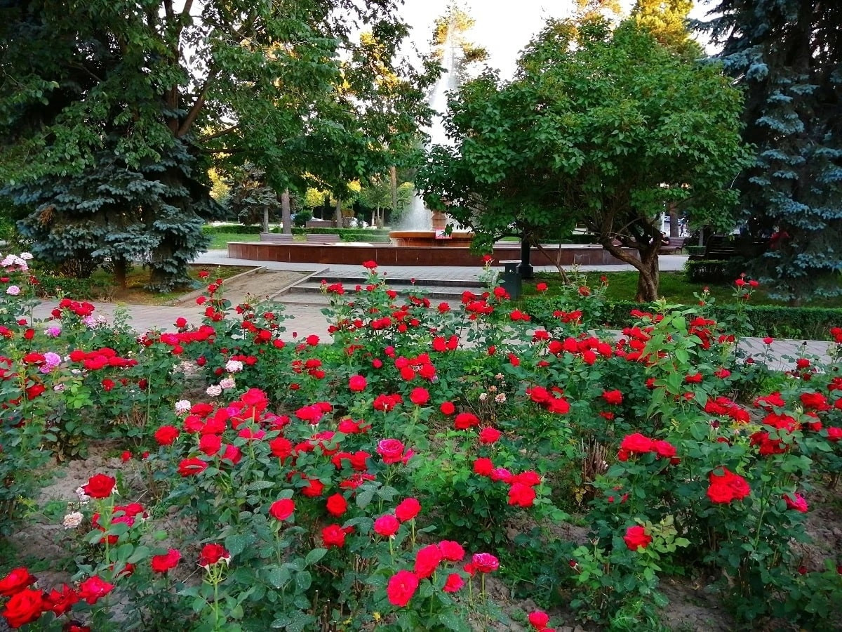 Алматы қаласы бойынша 10-16 маусым аралығындағы ауа райы болжамы