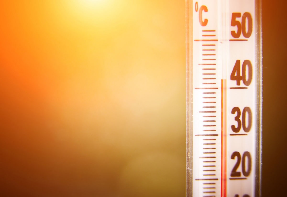 Аномальное лето - 2024: какие регионы в мире пострадают от адской жары