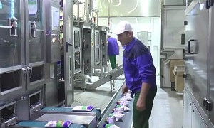 Цена и качество: молочный бизнес страны столкнулся с проблемами