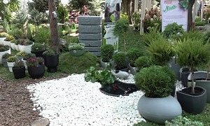 В мегаполисе стартовал ежегодный проект Almaty Garden Show