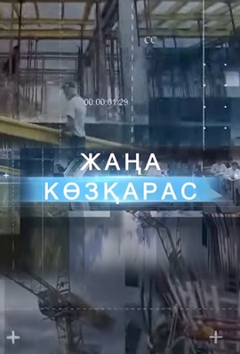 Жаңа көзқарас